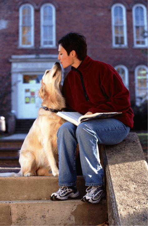 Can You Love Your Dog Too Much?