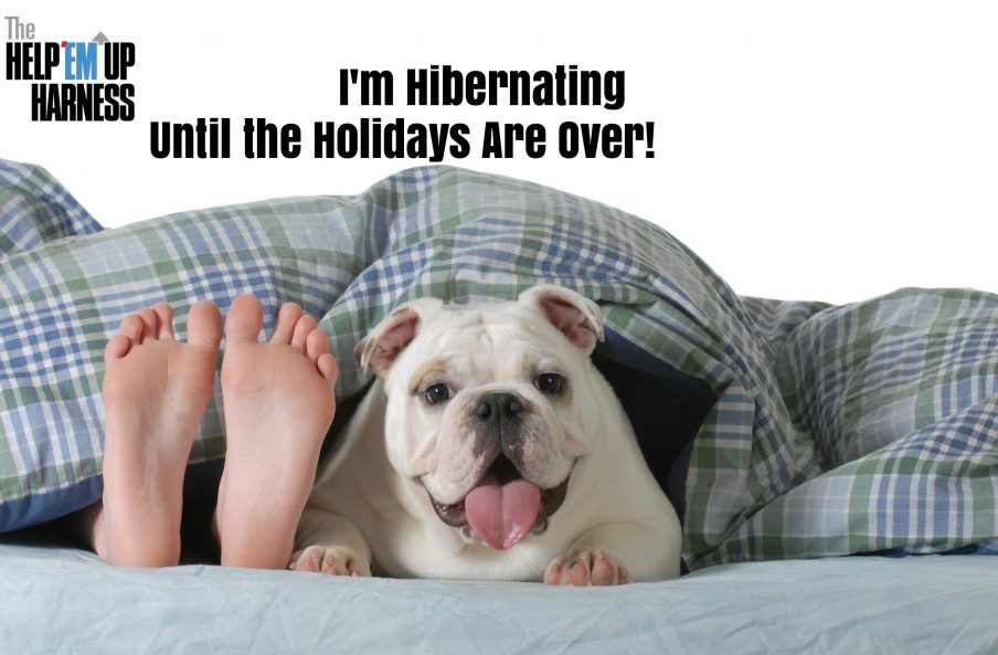 Reducing Your Dog’s Holiday Stress