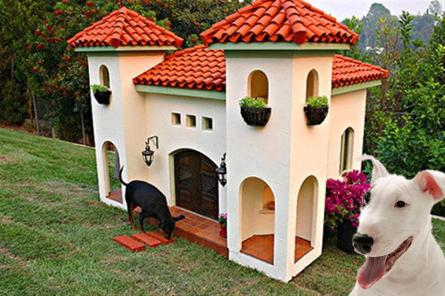 How People Are Modifying Their Homes For Dogs and Cats