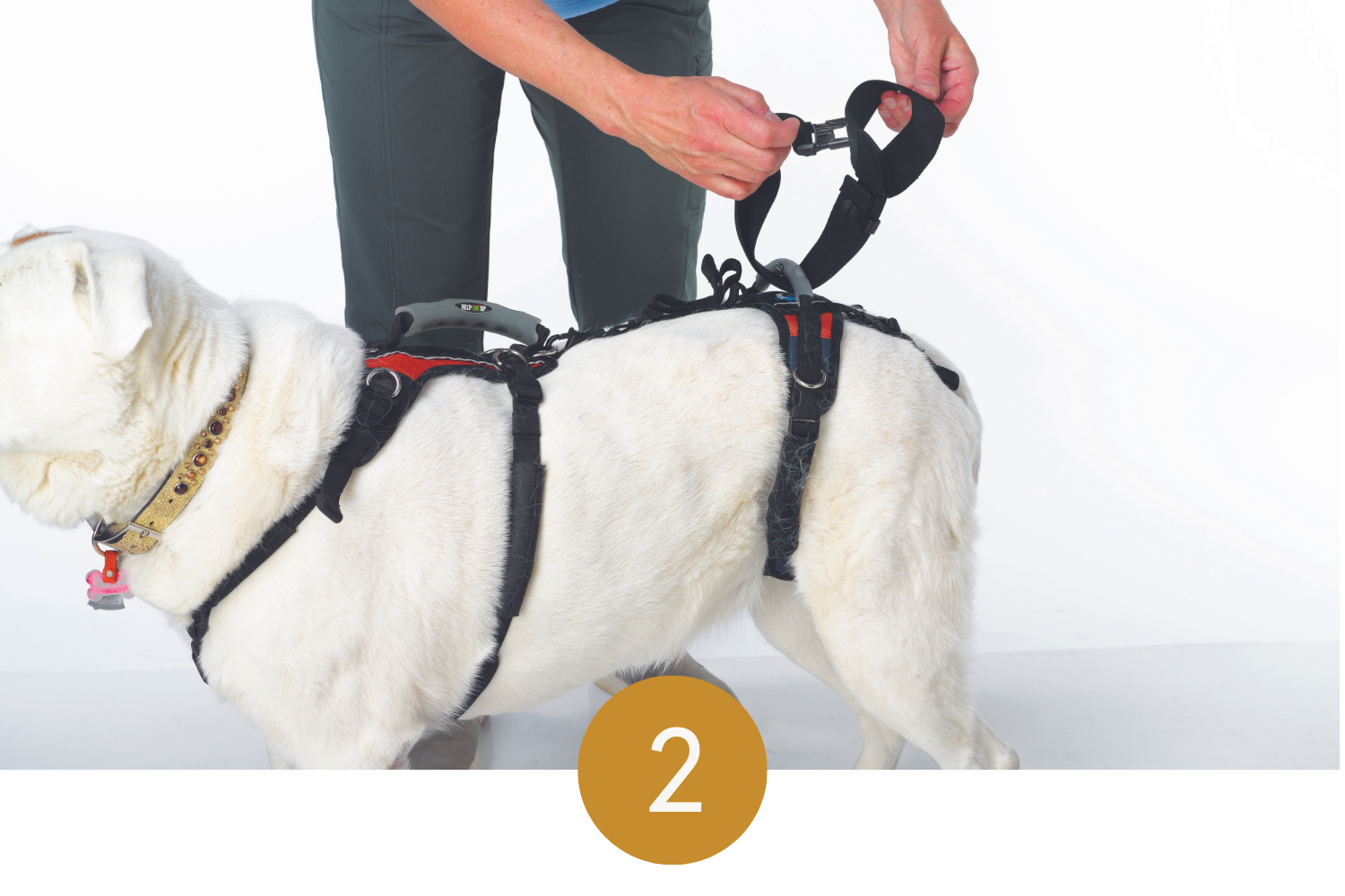 Attach easy walk harness best sale