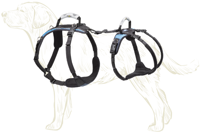 Outline sketch of dog overlayed with actual photo of a large Help 'Em Up Harnesss overlad with tooltip numbered icons to hover and reveal facts about harness