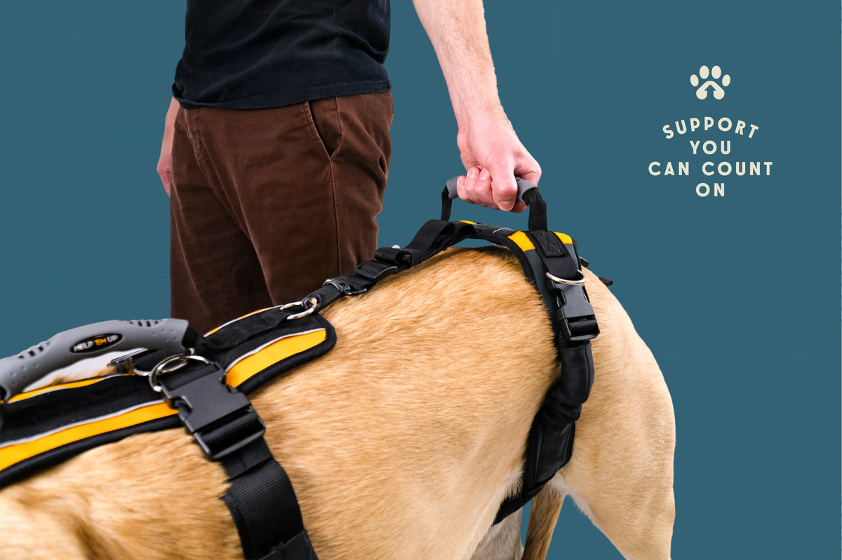 Help 'Em Up Harness (10lbs. - 225lbs.)
