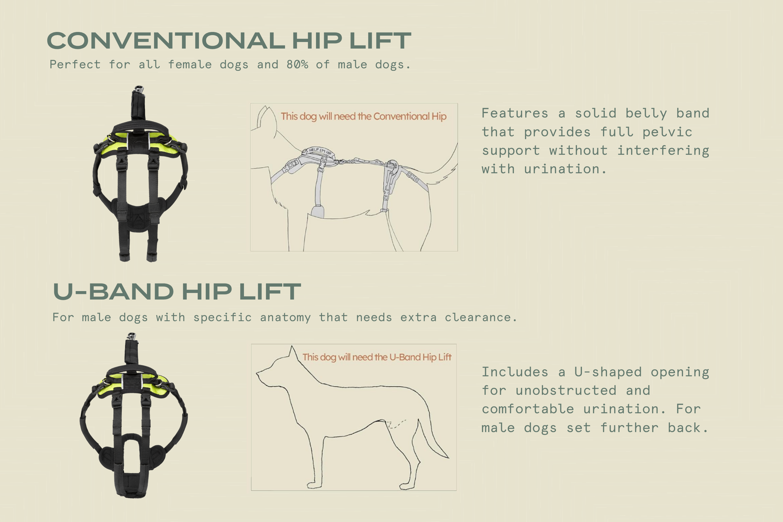 small-25-45-lbs-u-band