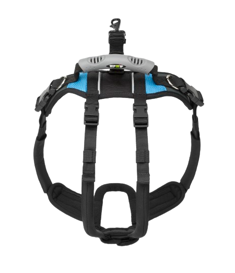 large-80-125-lbs-u-band