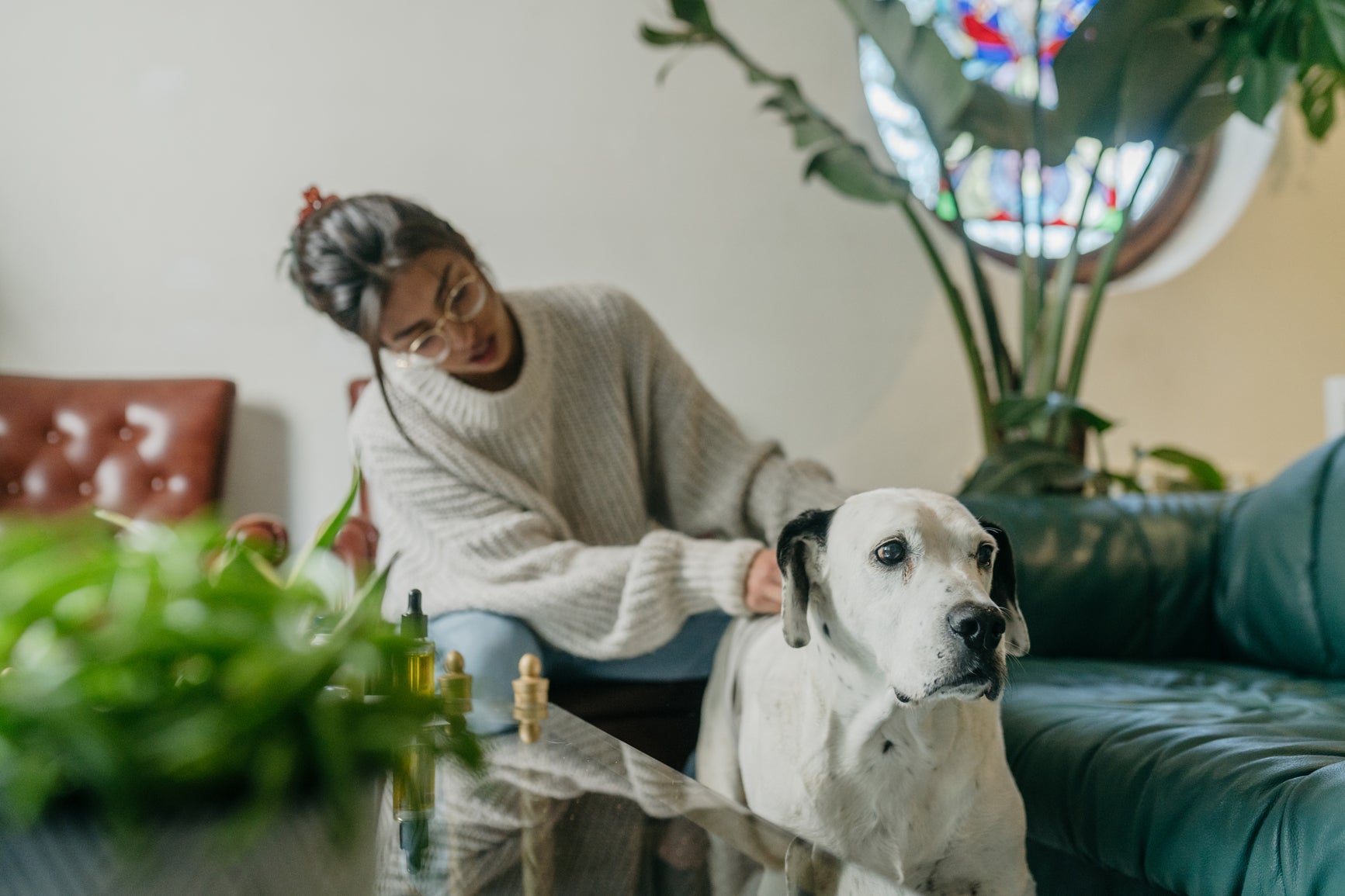 A dark haired woman wearing glasses and a sweater sitting on a chair next to a larger breed dog.